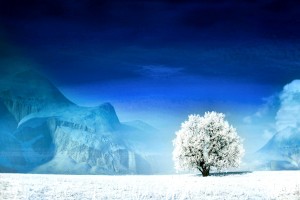 世界羽毛球训练科技展：智能训练设备引媒体关注，羽毛球智能管理系统